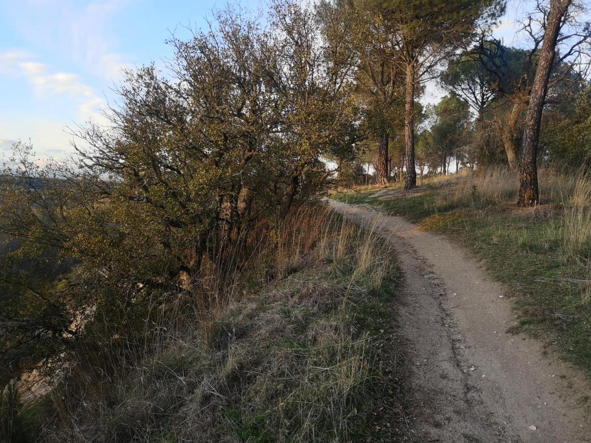 Madrid * Villaviciosa de Odón